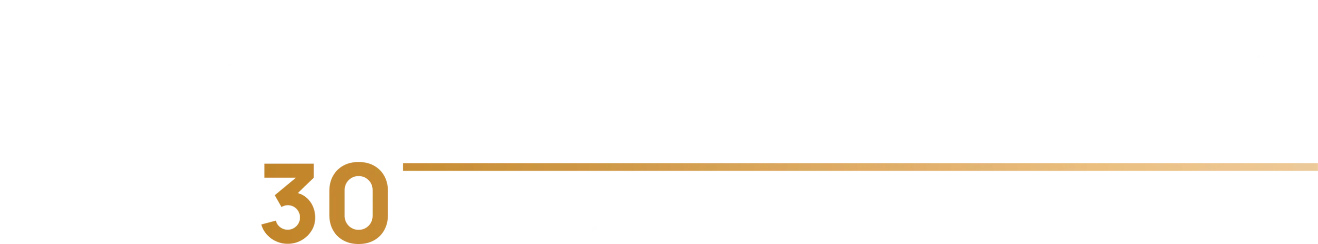 Marktlink — 30 jaar